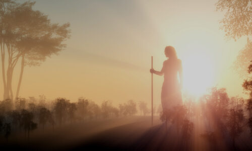 The smile of God in the face of his saints